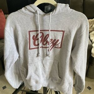 Obey Hoodie from Zumies